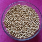 2012年产自己种植的有机黄豆（豆浆专用）